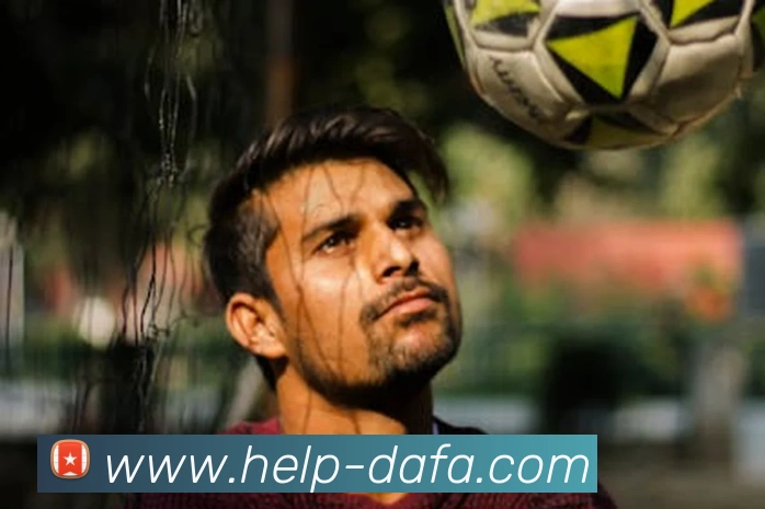 大发彩票APP 封面图